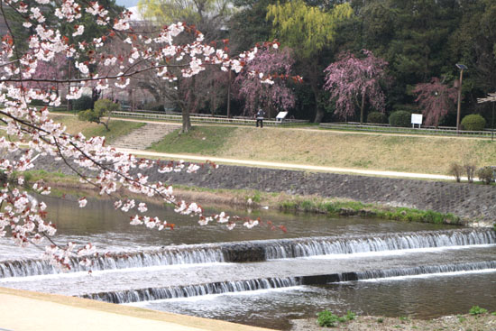 e0048413_2029259.jpg