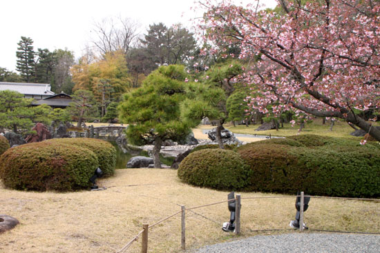 さくら満開2 二条城_e0048413_20585944.jpg
