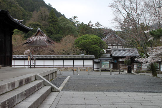 さくら満開4 南禅寺_e0048413_22412725.jpg