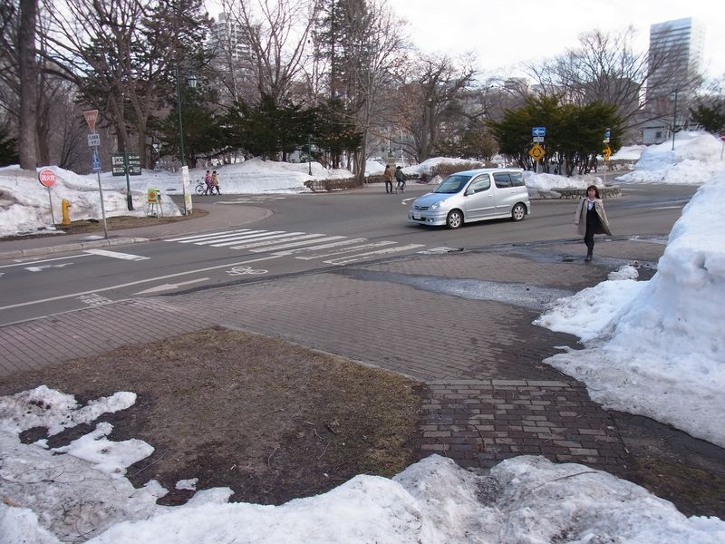 まだ雪深いエルムの森_c0025115_19214018.jpg