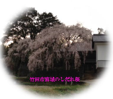 d0070316_13382.jpg