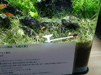 d0212519_17275751.jpg