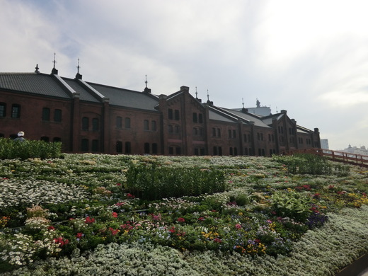 d0221319_13304954.jpg