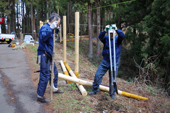 f0232920_16354154.gif