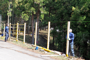 f0232920_1636955.gif
