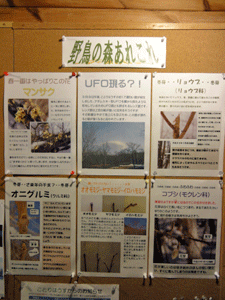 f0232920_1649158.gif