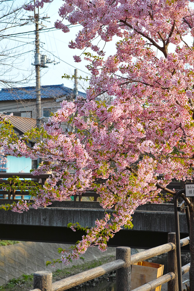c0223825_7553829.jpg