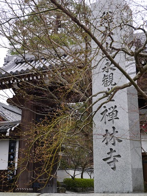 白木蓮 ~永観堂 禅林寺(京都)~_c0235725_15254675.jpg