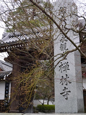 白木蓮　　～永観堂　禅林寺（京都）～_c0235725_15254675.jpg