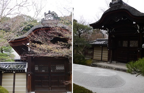 白木蓮 ~永観堂 禅林寺(京都)~_c0235725_15482565.jpg