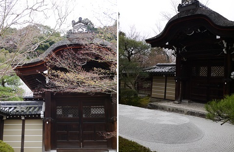 白木蓮　　～永観堂　禅林寺（京都）～_c0235725_15482565.jpg