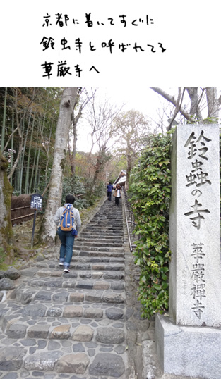 京都・大阪の旅一日目_c0026926_12584810.jpg