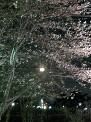 b0186130_08056.jpg