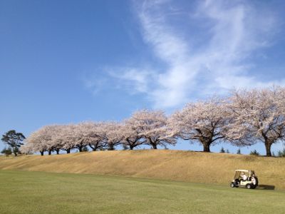 座間キャンプゴルフ場_a0279635_054749.jpg