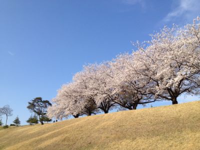 座間キャンプゴルフ場_a0279635_055356.jpg