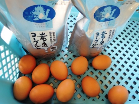 岩泉ヨーグルト使用 ブルーベリーマーブルパンが美味しい。_b0206037_1352784.jpg