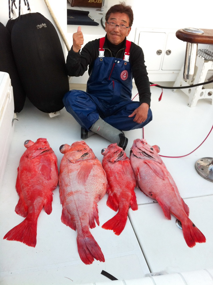 ベニアコウ　・・・入れパク　！！　そんなバカな・・・ 【カジキ・マグロトローリング】_f0009039_14201746.jpg