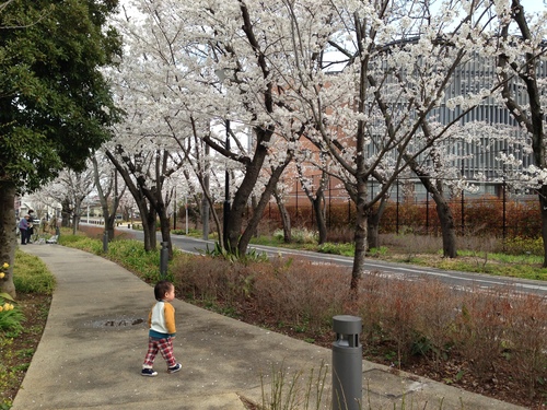 はじめての吸入_a0267942_16392469.jpg