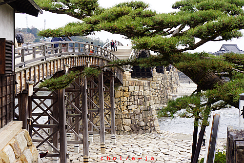 c0243343_20312267.png