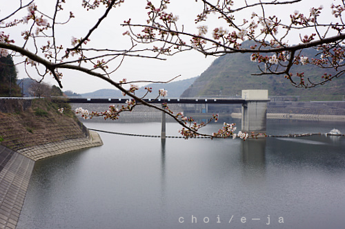 c0243343_2133255.png
