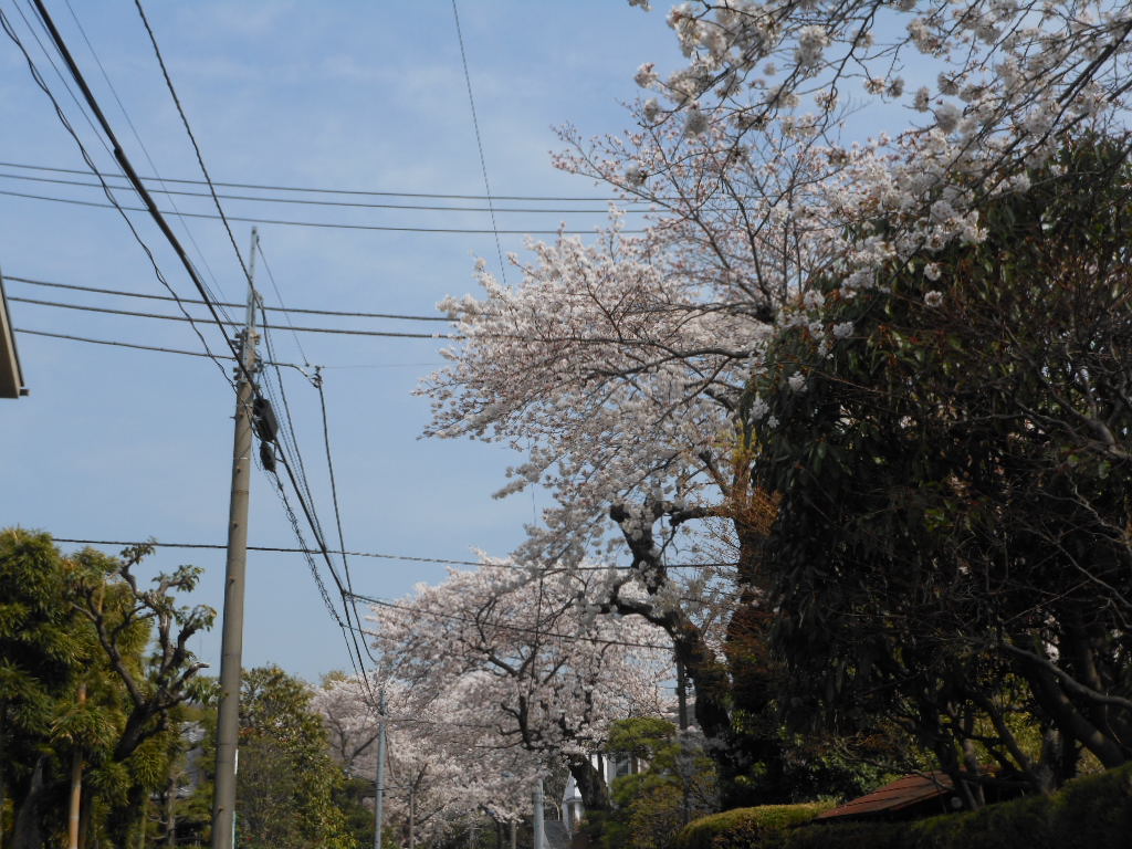 c0122744_10312351.jpg