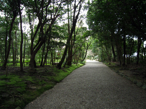 秋篠寺　＠奈良県_f0048546_6212198.jpg