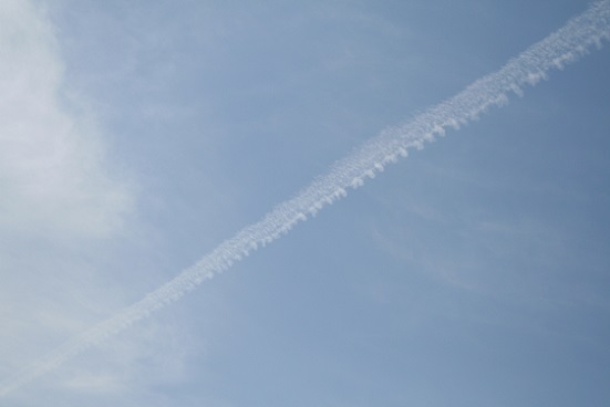 e0126350_2359161.jpg