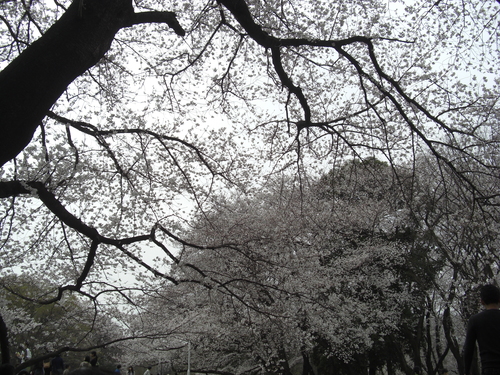f0160353_113685.jpg