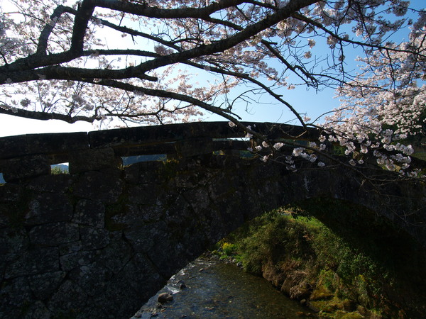 桜のある風景ー10_a0260570_1671496.jpg