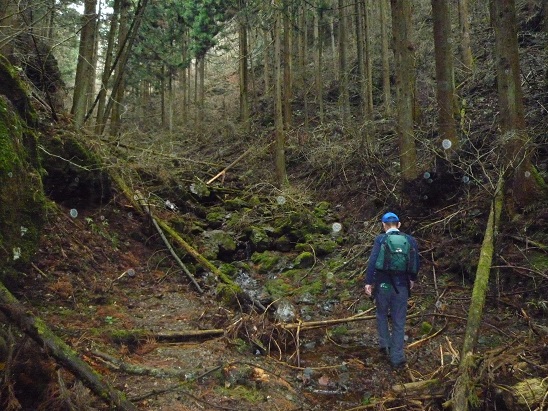 c0273271_1616457.jpg