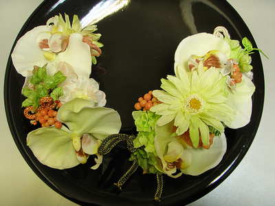 f0007380_21499.jpg
