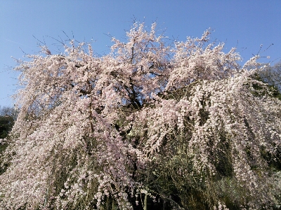f0223480_1038859.jpg