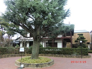 京都 気ままな、一人旅♪　（御苑・新島八重さん邸へ）_a0185783_15414677.jpg