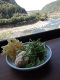 阿蘇山周辺まで春のドライブ _d0195183_0102978.jpg