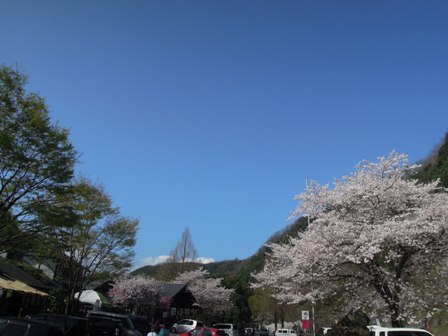 阿蘇山周辺まで春のドライブ _d0195183_055682.jpg