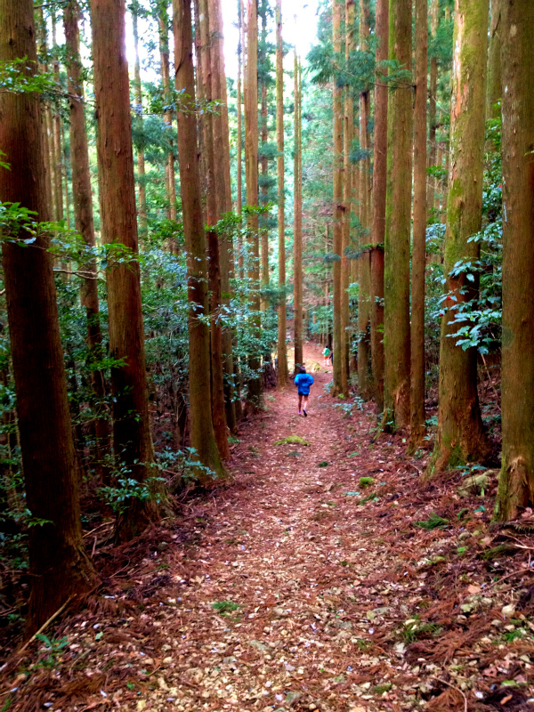 2013/03/26-27　高知県土佐久礼の旅＆横倉山トレイルセッション_b0220886_11182229.jpg