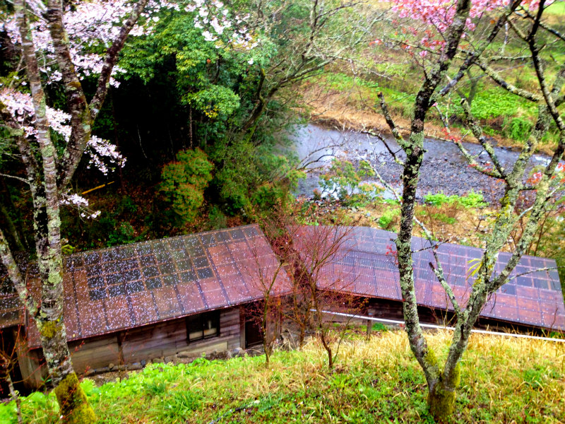 2013/03/26-27　高知県土佐久礼の旅＆横倉山トレイルセッション_b0220886_12254137.jpg