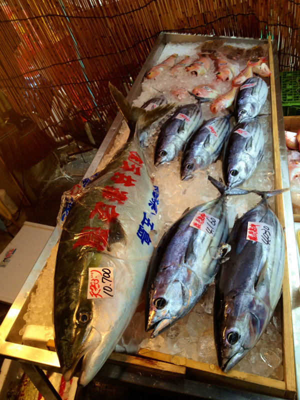 2013/03/26-27 高知県土佐久礼の旅&横倉山トレイルセッション_b0220886_1238221.jpg