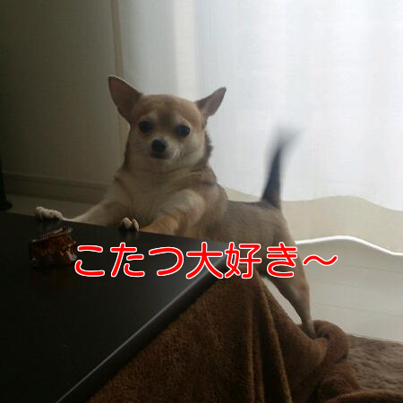b0237894_854108.png