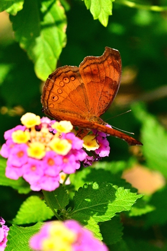 a0290297_1817751.jpg