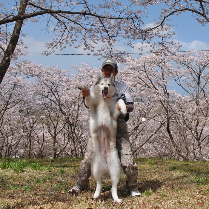 あんな花、こんな花_c0049299_1453636.jpg