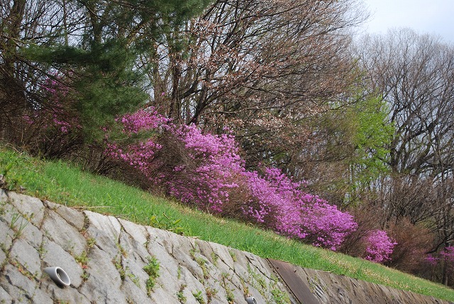 c0124100_20583034.jpg