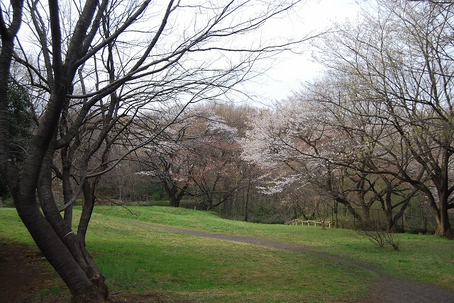 c0124100_20585685.jpg