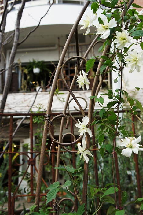 自由が丘のシックな花屋さん アインのしっぽ 自由が丘のシックな花屋さん アインのしっぽ