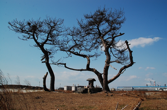 「印彩都写真展2025」のご案内 ~時の色~_a0169902_1502856.jpg