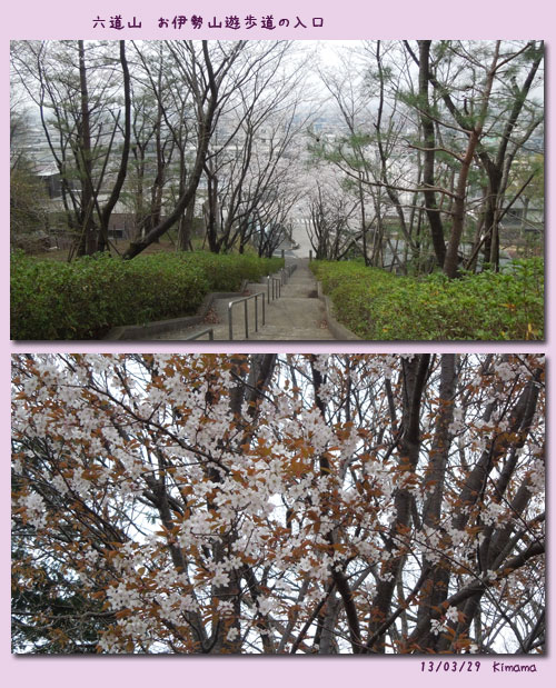 狭山丘陵(六道山遊歩道を歩く)_c0051105_0364752.jpg
