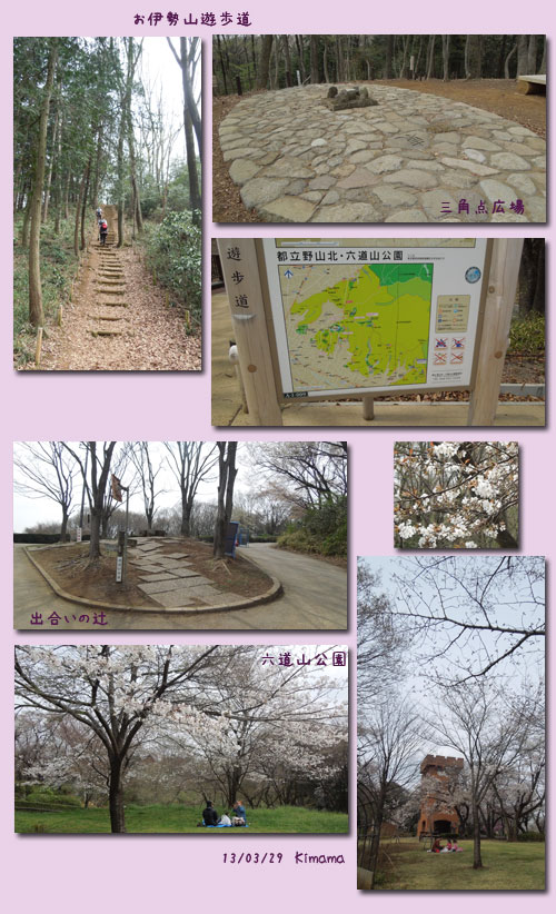狭山丘陵(六道山遊歩道を歩く)_c0051105_121466.jpg
