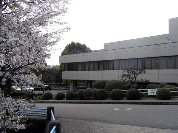 a0210108_0113849.jpg