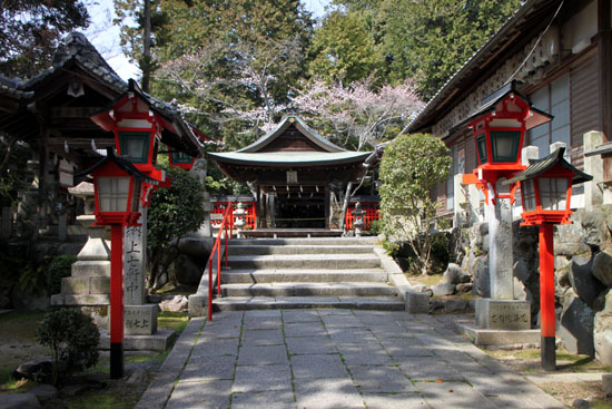 さくら満開8 三宅八幡宮_e0048413_18522312.jpg