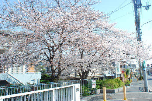 遅ればせながら!今日の今日での告知です!!_c0116714_934528.jpg